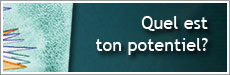 Stratégies d'apprentissage