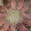 PIWASEHA: an exceptional training opportunity for the staff of the health and social services establishments!
