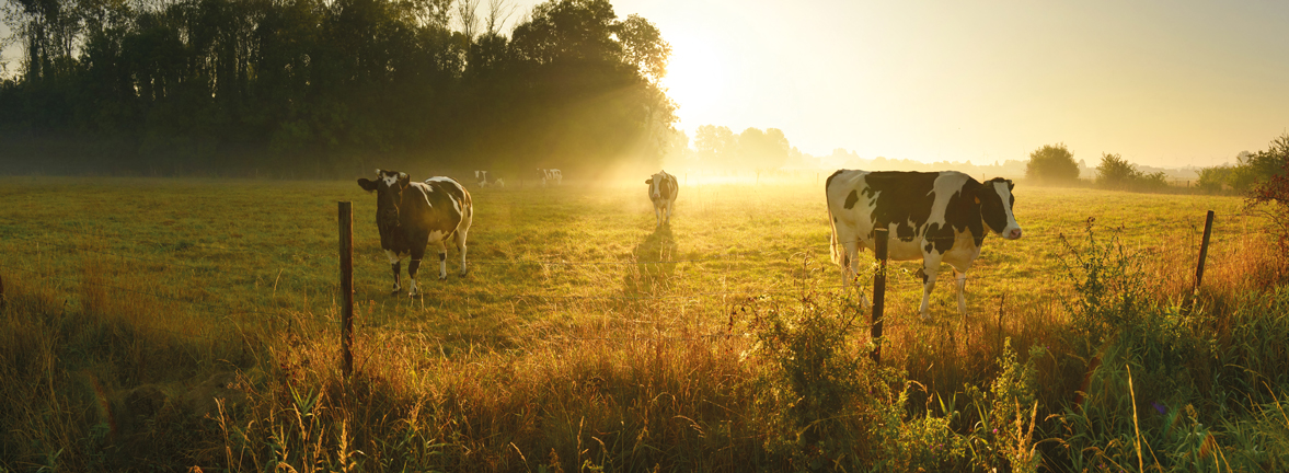 Laroratoire d'analyse agricole