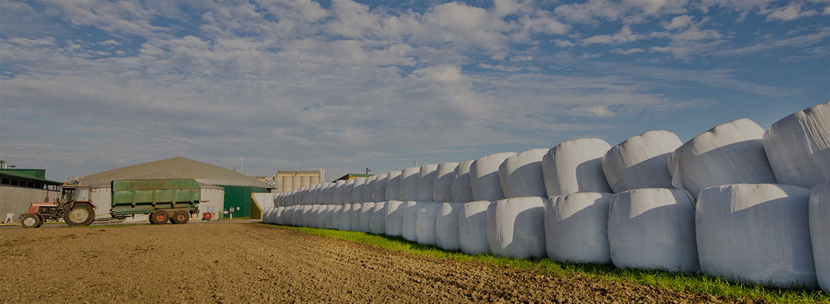 Microprogramme de 2<sup>e</sup> cycle en agriculture fourragère