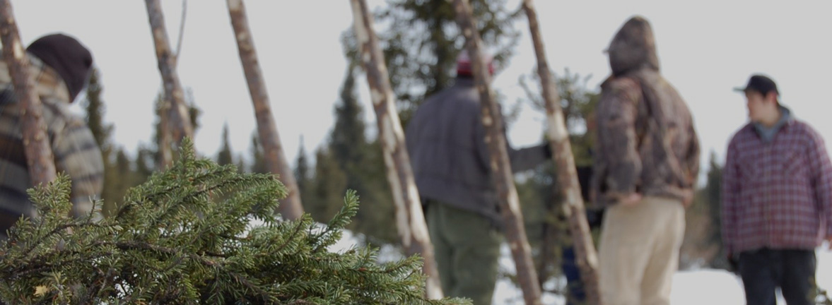 Chaire de recherche du Canada en dendroécologie et en dendroclimatologie