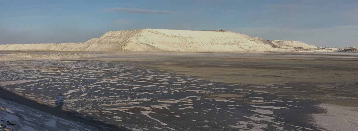 Chaire de recherche du Canada en dendroécologie et en dendroclimatologie