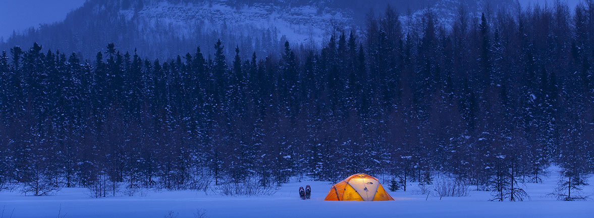 Choix de cours - Étudiants de niveau licence ou master