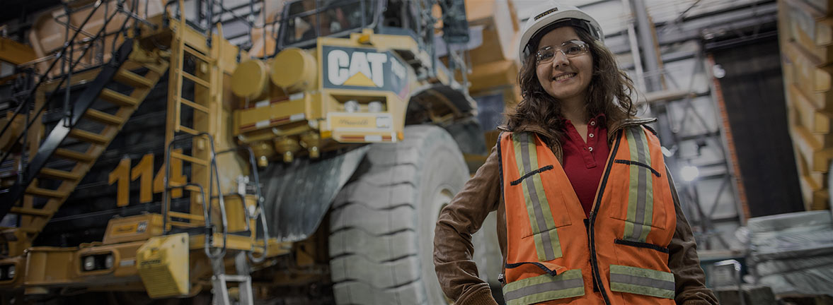 Institut de recherche en mines et en environnement