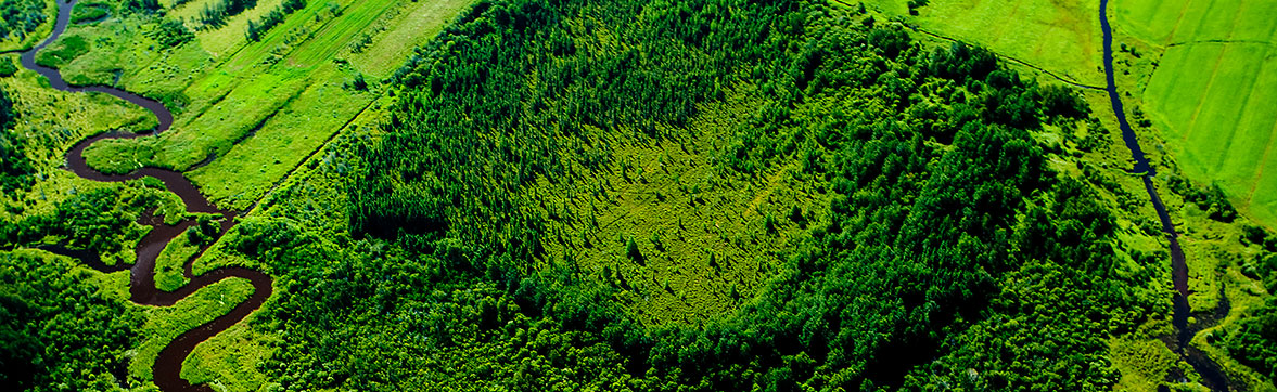 Découvrir la recherche en forêt