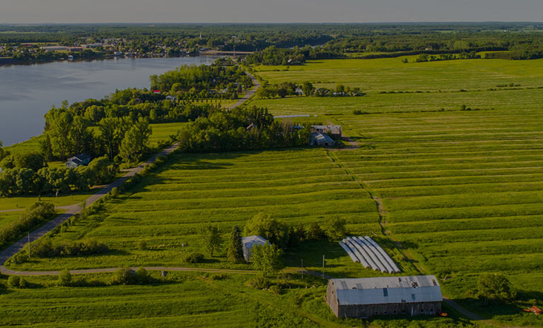 Institut de recherche en agriculture et agroalimentaire