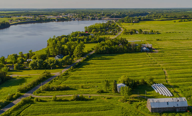 Institut de recherche en agriculture et agroalimentaire