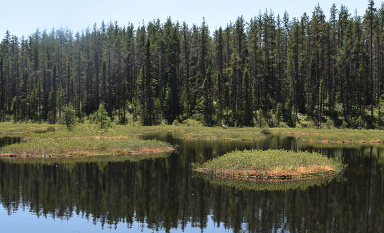 Groupe de recherche en écologie de la MRC Abitibi