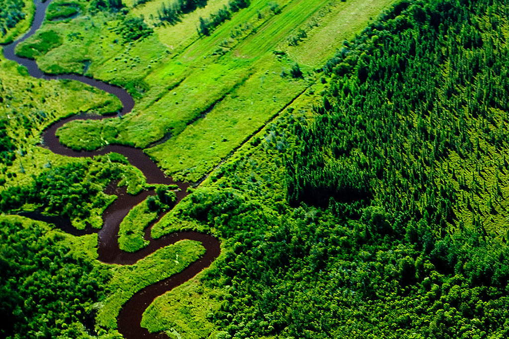 Chaire CRSNG-UQAT-UQAM en aménagement forestier durable