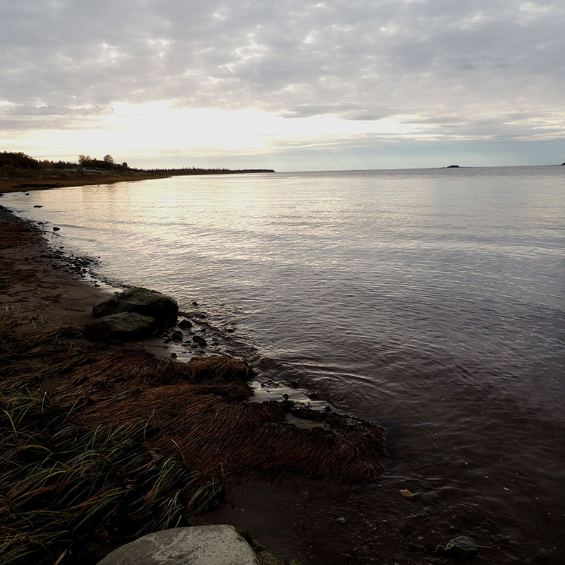 Observatoire d'Eeyou Istchee Baie-James